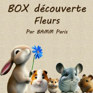 Box découverte fleurs par BAMM Paris pour lapins, cochons d'inde, octodons, chinchillas, hamsters