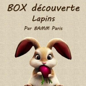 Box découverte pour lapins par BAMM Paris