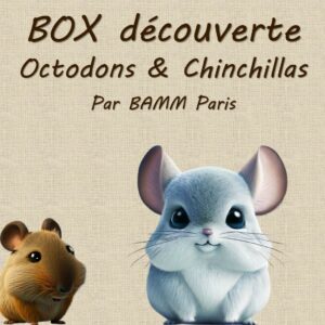 Box découverte pour octodons et chinchillas par BAMM Paris