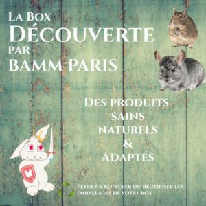 Box découverte octodons et chinchillas BAMM Paris
