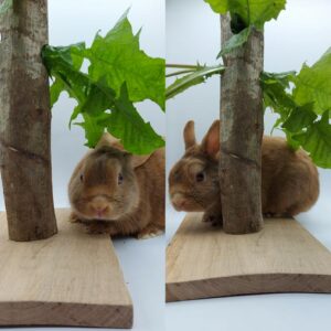 arbre à nourriture lapins rongeurs bamm paris artisanal