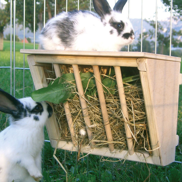 Râtelier à foin en bois pour lapins et rongeurs BAMM Paris