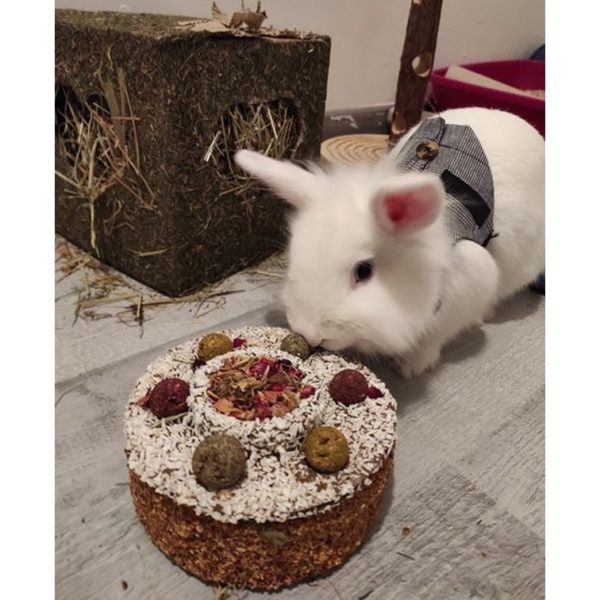 Gateau De Fete Pour Lapin Et Rongeur Bamm Paris Gateau De Fete Pour Lapin Et Rongeur Bamm Paris