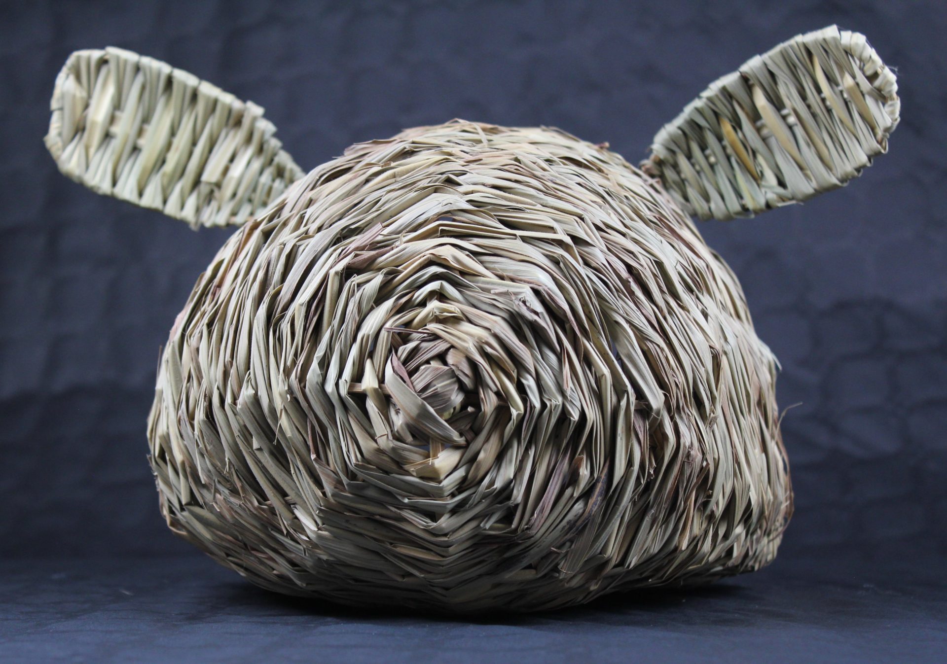 Maison bunny