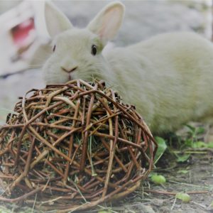 Balle en osier pour rongeur et lapin