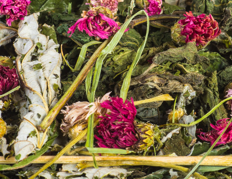 fleurs mélange lapin rongeurs