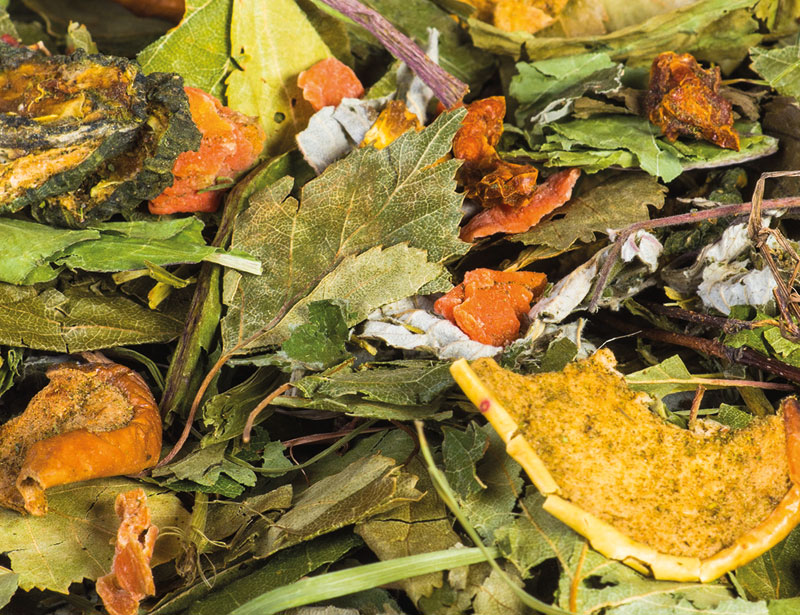 mélange légumes lapins rongeurs