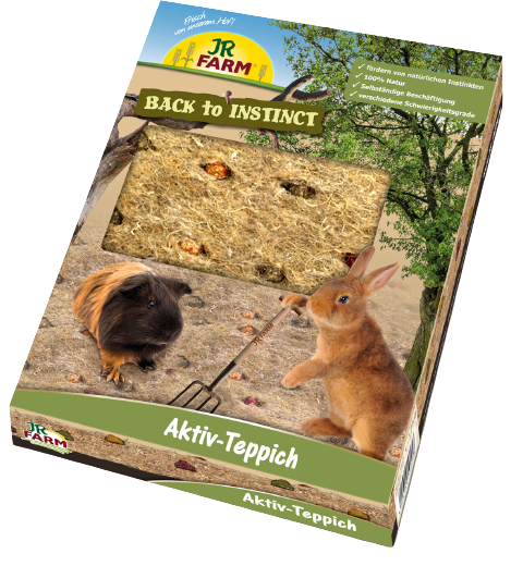 JR FARM Jr-Farm Bac à Sable pour gratter et creuser pour les lapins et  rongeurs