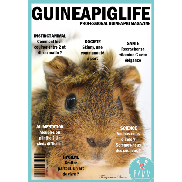 couverture-magazine-cochon-d’inde-bamm-paris