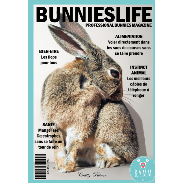 couverture-magazine-lapin-bamm-paris