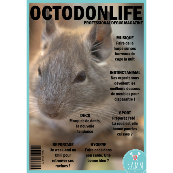 couverture-magazine-octodon-bamm-paris