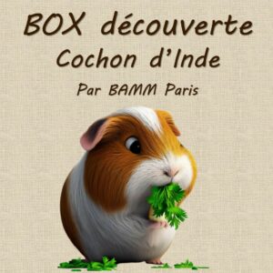 Box découverte pour cochons d'inde par BAMM Paris