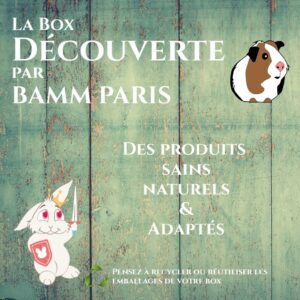 Box découverte cochons d'inde BAMM Paris