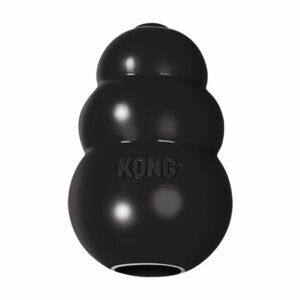 KONG Extreme chien