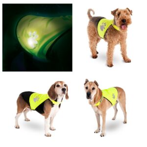 Gilet sécurité pour chiens