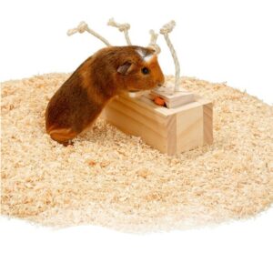 Jeu de brique 4 cases lapins cochons d'inde karlie