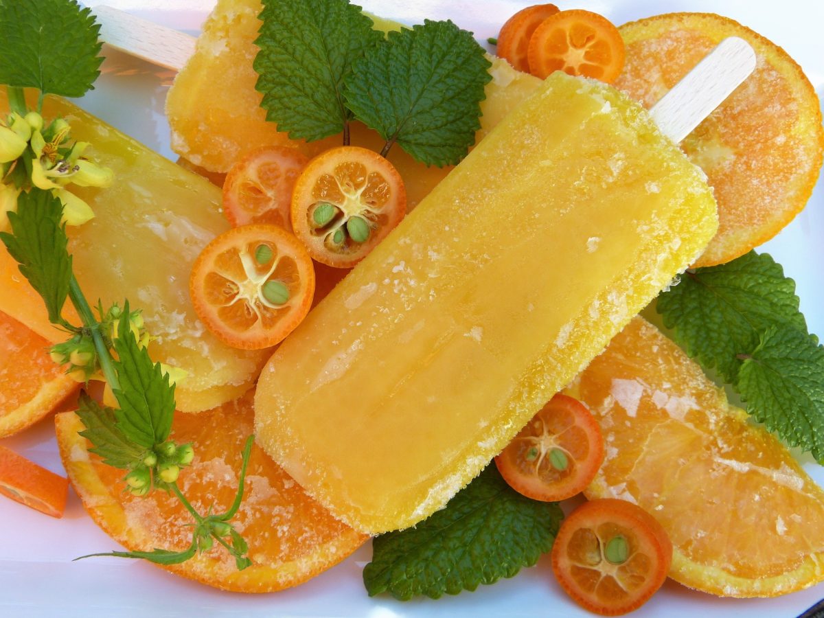 aliments congelés lapin rongeur
