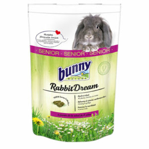 Bunny dream rabbit dream bunny rêve lapin senior bunny nature