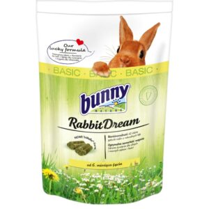 rabbit dream basic lapin bunny nature