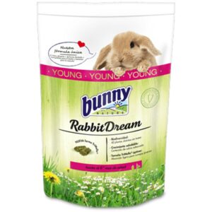 rabbit dream bunny nature young jeune lapin