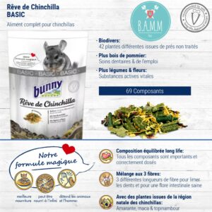 Chinchilla Dream Basic Bunny Nature