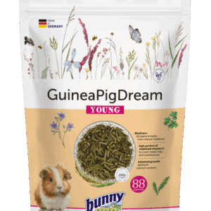 GuineaPig Dream Jeune