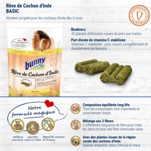 Rêve de cochons d'inde cochon basic bunny nature guineapig dream 2