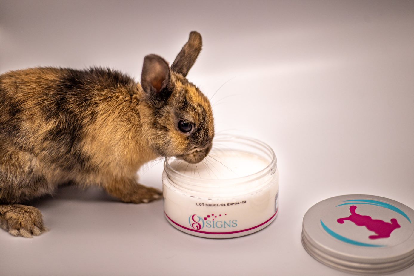 SecureBunny Signs lapin peureux stressé