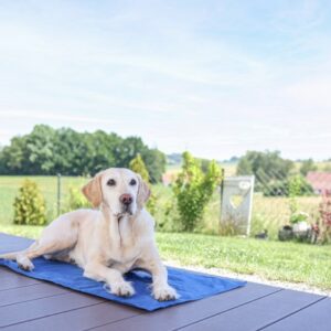 tapis rafraîchissant cool relax kerbl pour chats, chiens, lapins et furets