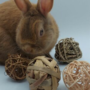 Quatuor balles naturelles bamm paris lapins rongeurs cochons d'inde octodon chinchilla