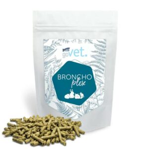 Govet Bunny nature bronchoplex troubles respiratoires lapins et rongeurs