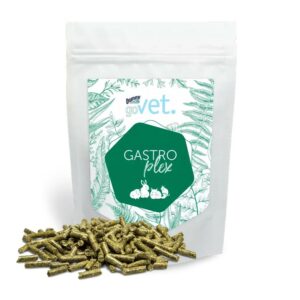 Govet bunny nature GASTROplex problèmes transit gastriques lapins et rongeurs