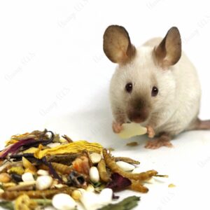 Les bases de l’alimentation des souris