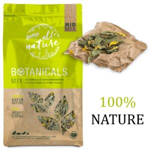 BOTANICALS - Mid mix - Echinacée et pétales de tournesol