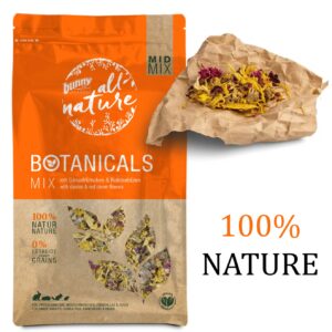 BOTANICALS - Mid mix - pâquerettes et fleurs de trèfle rouge - Bunny nature