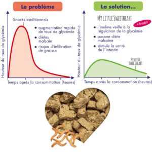 Mon petit cœur - vers de farine bunny nature rongeurs