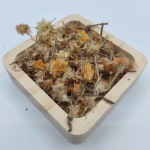 fleurs d'arnica pour lapins et rongeurs friandise octodons chinchillas