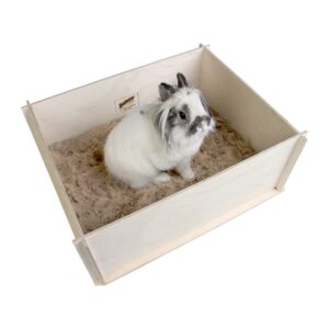 Boîte à creuser fouiner Bunny nature lapins cochons d'inde octodons chinchillas