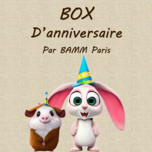 Box anniversaire pour lapins et cochons d'inde par BAMM Paris