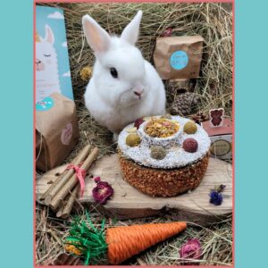 box anniversaire bamm paris lapins cochons d'inde rongeurs