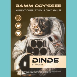 BAMM Ody'ssée Dinde et Poulet Chat adulte