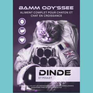 BAMM Ody'ssée Dinde et Poulet Chaton et chat en croissance