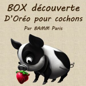 BOX découverte d'Oréo pour cochons de compagnie par BAMM Paris