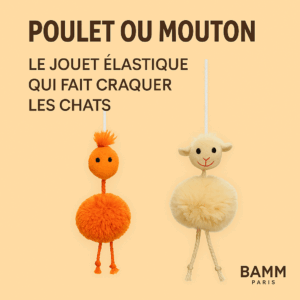 Jouets sur élastique – Poulet & Mouton