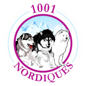 1001 Nordiques