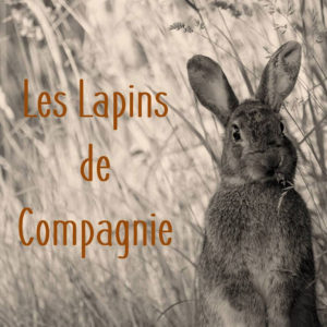 Les lapins de compagnie