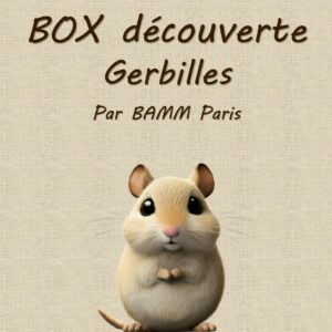 Box découverte pour Gerbilles par BAMM Paris