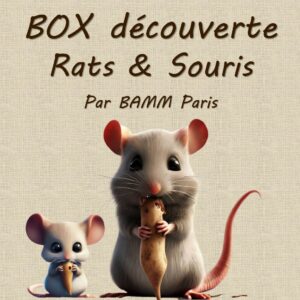 Box découverte pour rats et souris par BAMM Paris