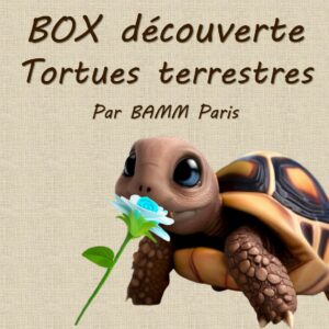 Box découverte pour tortues terrestres par BAMM Paris