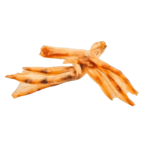 Pattes de canard séchées pour chiens